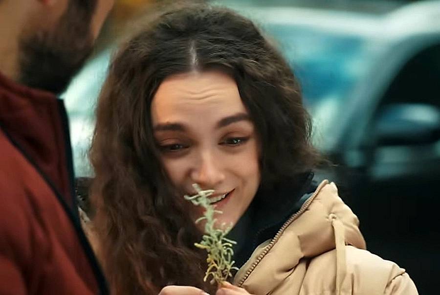 наследство 